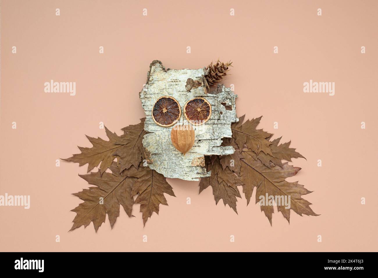 Composition d'automne avec écorce de bouleau faisant la tête de hibou Banque D'Images