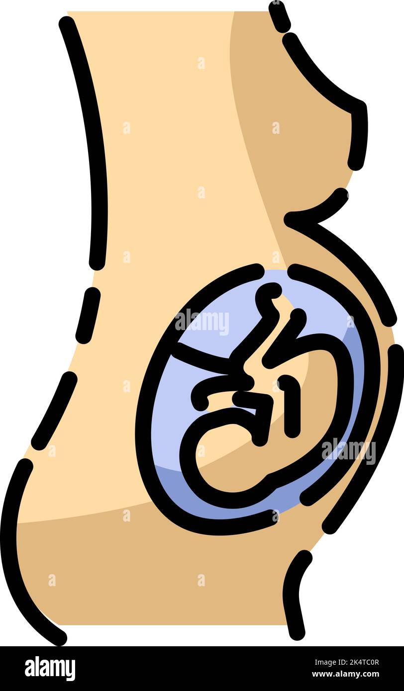 Grossesse féminine, illustration, vecteur sur fond blanc. Illustration de Vecteur