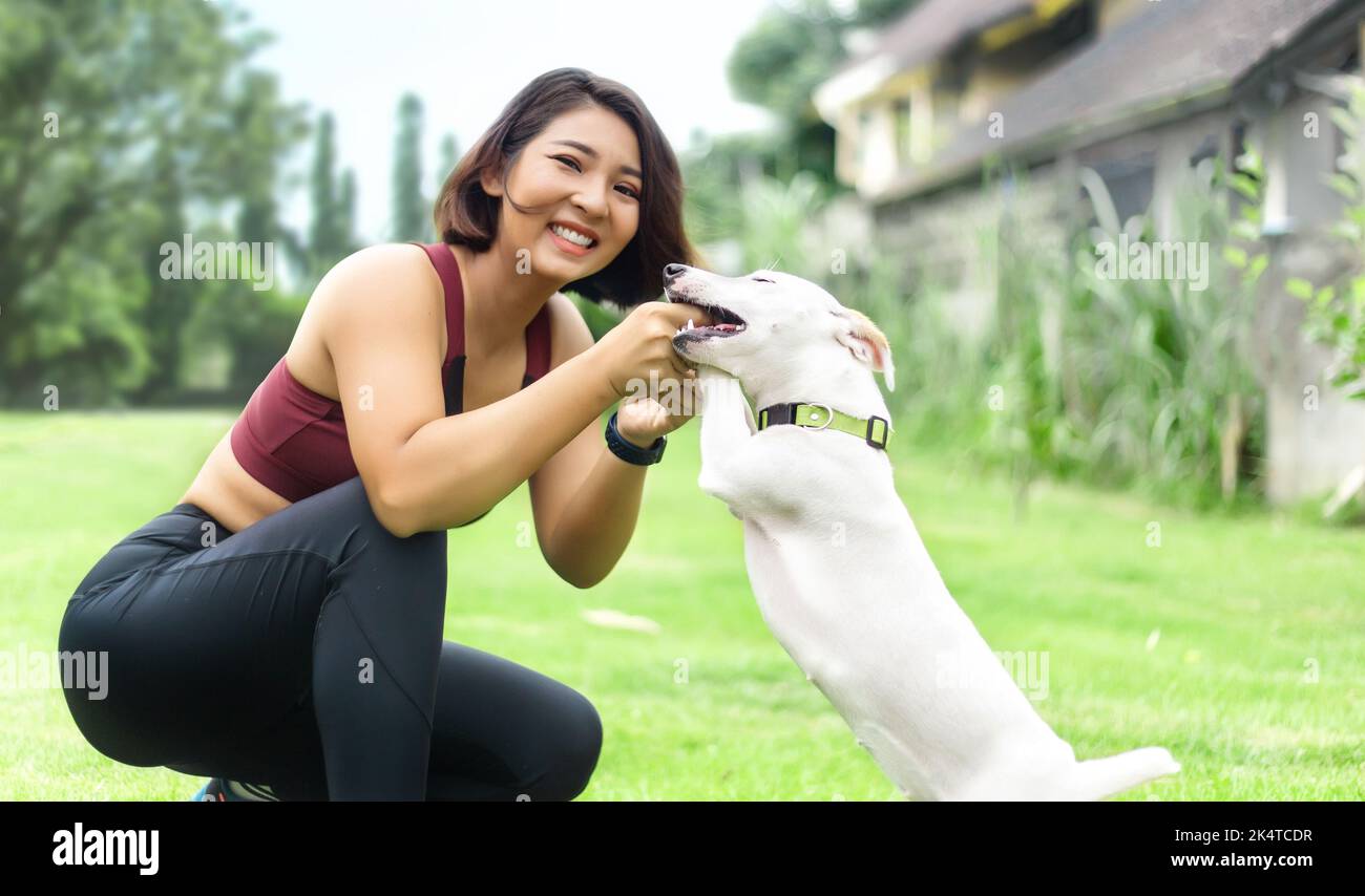 un moment heureux de femme et de chien à la maison. Bonne relation avec l'homme et l'animal de compagnie par temps ensoleillé Banque D'Images