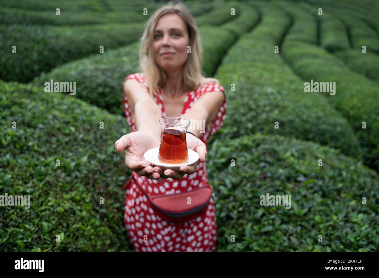 Vue de face de la jeune femme en robe rouge à pois offrant un verre traditionnel de thé noir turc frais avec des rangées de plantations de thé Banque D'Images