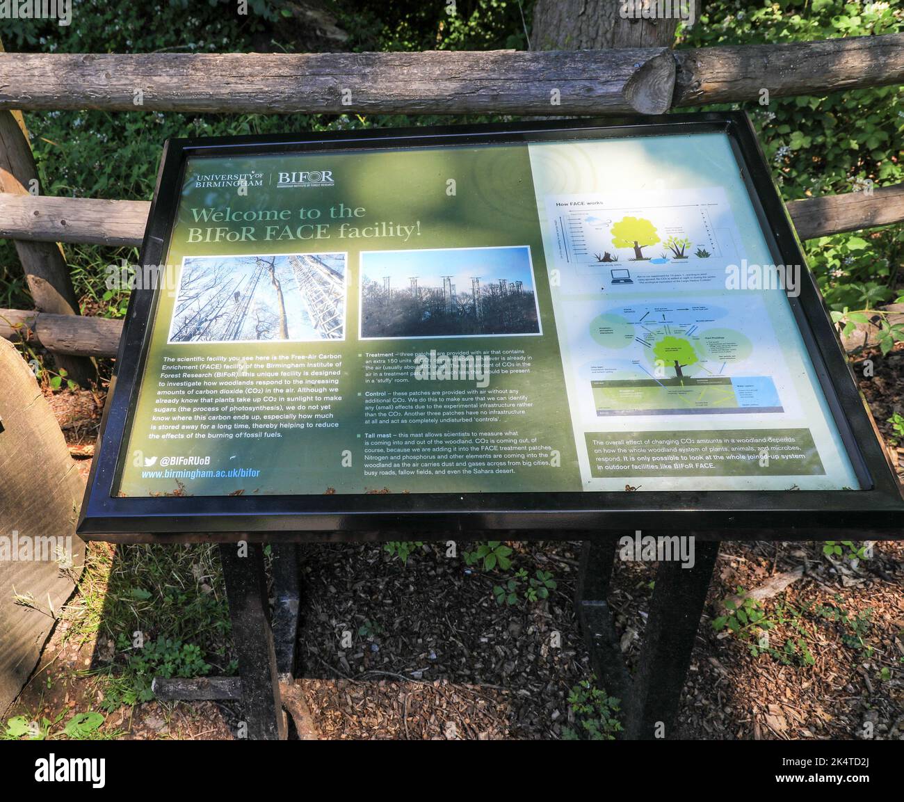 L'installation de dioxyde de carbone (FACE) de l'Institut de recherche forestière de Birmingham (BIFoR) surveille les effets du dioxyde de carbone sur les arbres, le personnel Banque D'Images