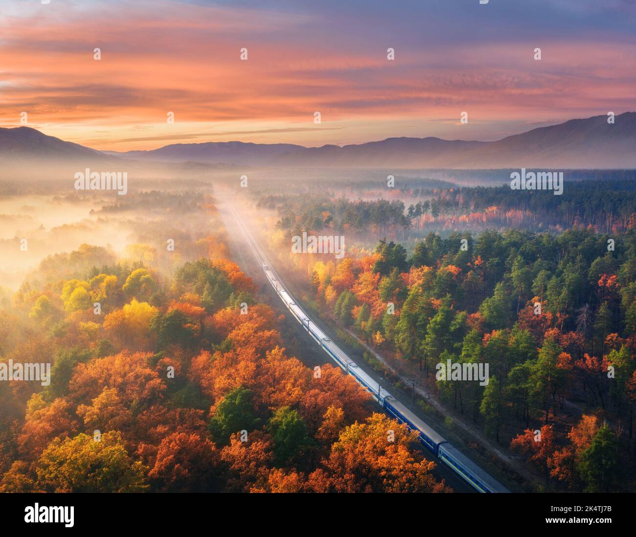 Vue aérienne du train de voyageurs dans la forêt d'automne dans le brouillard au coucher du soleil Banque D'Images Vue aérienne du train de voyageurs dans la forêt d'automne dans le brouillard au coucher du soleil Banque D'Images