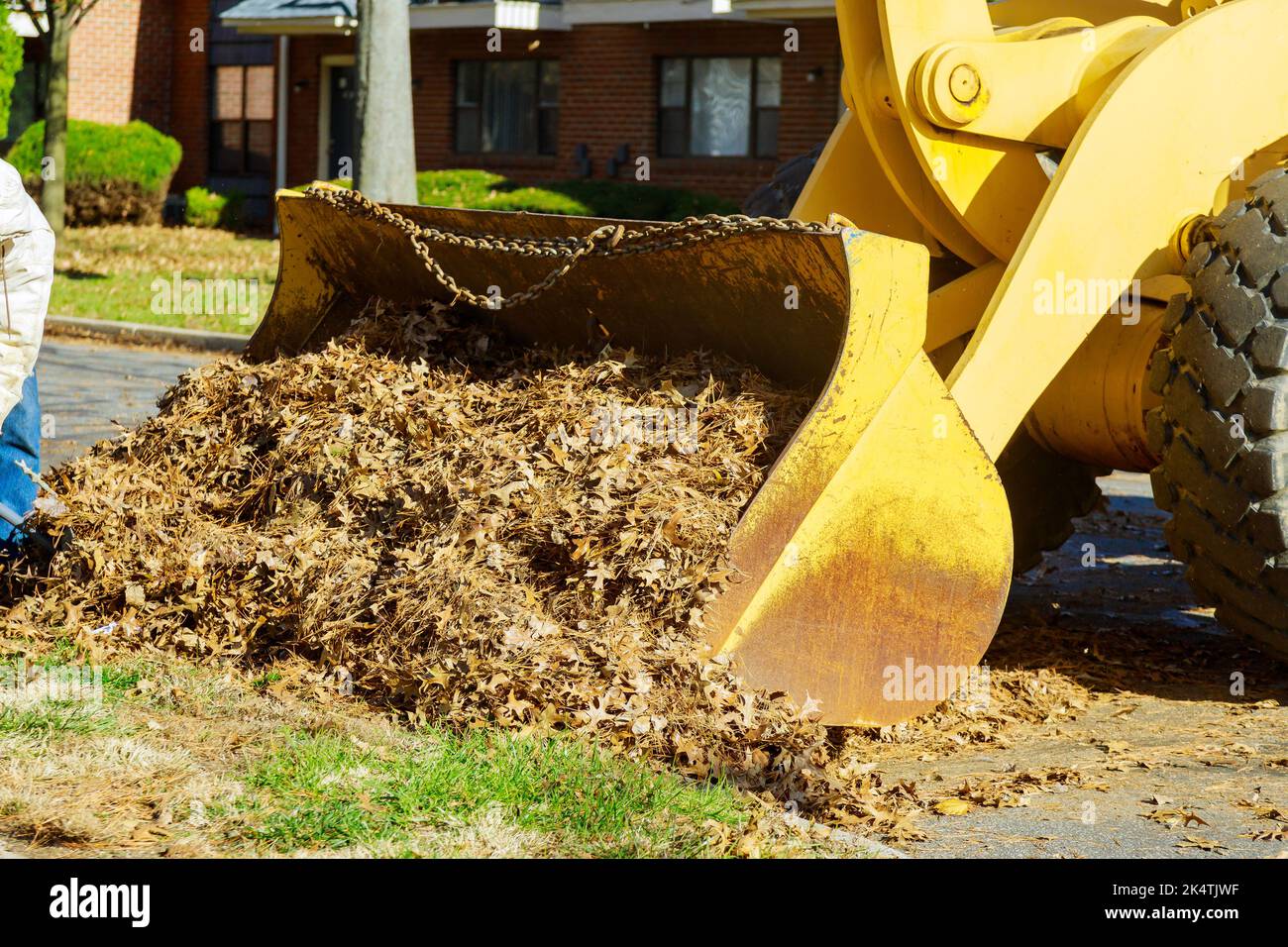 En utilisant des camions de bulldozer, les employés des municipalités de toute la ville nettoient les feuilles mortes à côté des maisons pendant l'automne. Banque D'Images