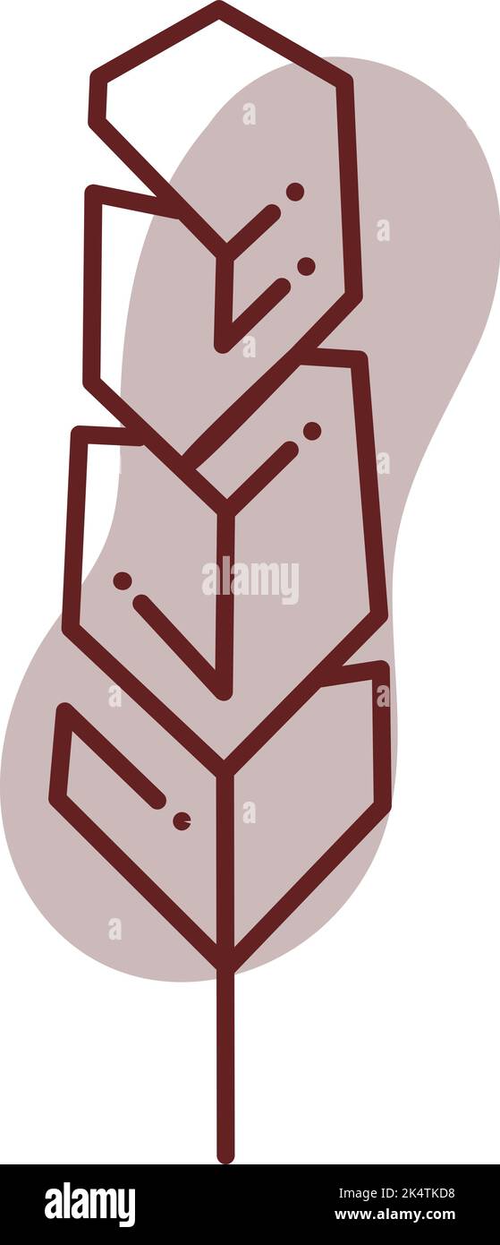 Plume marron, illustration, vecteur, sur fond blanc. Illustration de Vecteur