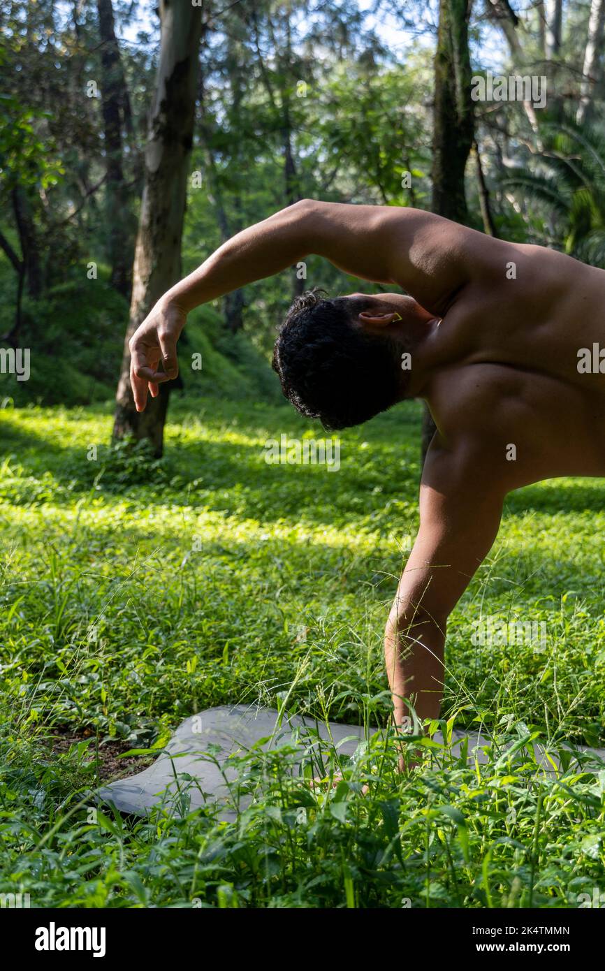 Latino-américain faisant la posture du yoga, la posture du yoga, Bee en arrière Prsthatah Brahmara, forêt Banque D'Images