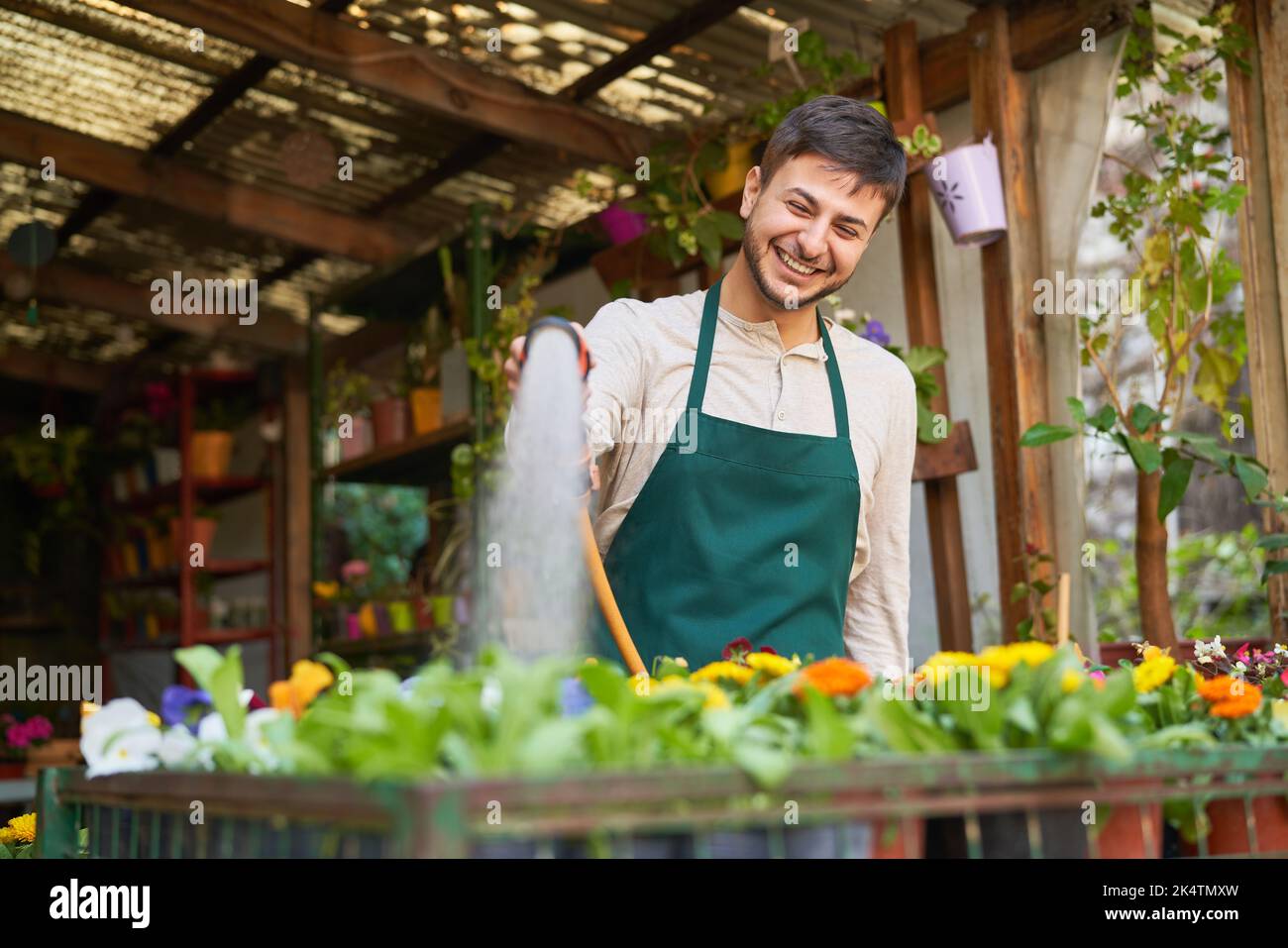 Jeune jardinier arroser des fleurs comme soin de plantes dans la pépinière ou dans la boutique de fleurs Banque D'Images