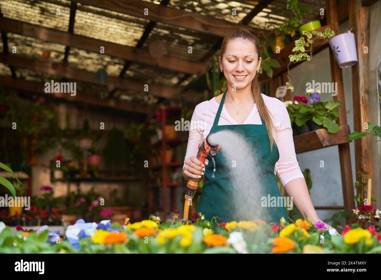 Jeune femme comme jardinier et vendeuse de plantes arroser des plantes Banque D'Images