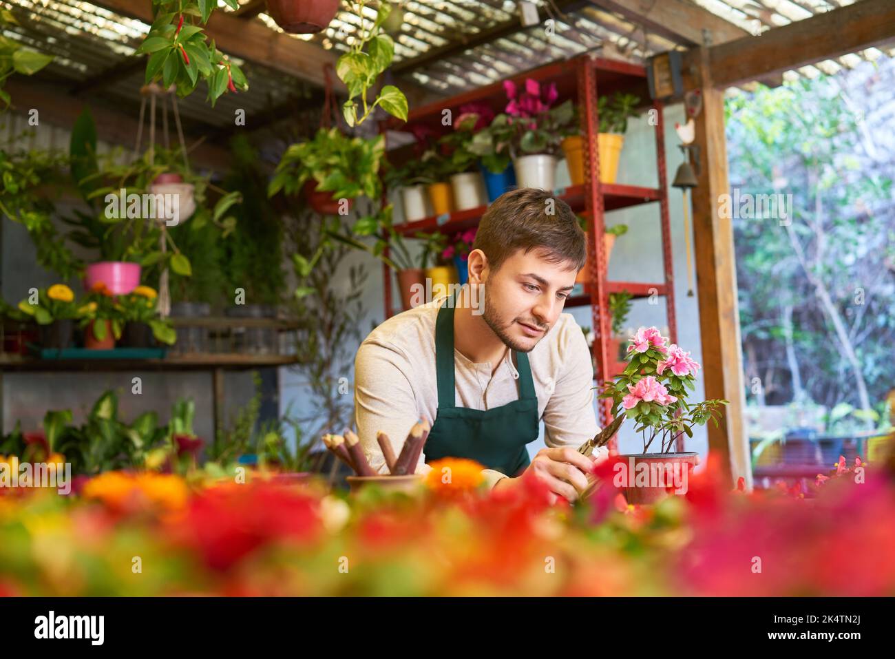 Jeune homme comme fleuriste prenant soin des plantes et le contrôle de la qualité en pépinière Banque D'Images