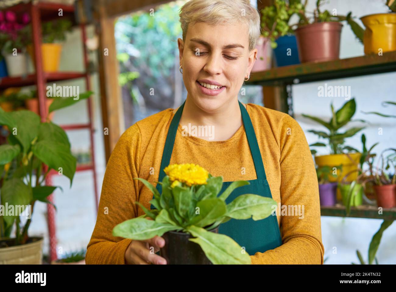 Le jeune fleuriste contrôle la qualité de la reproduction à la garderie Banque D'Images