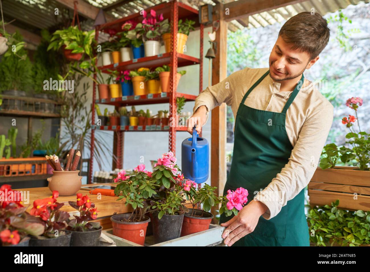 Jeune homme en tant que jardinier arroser des fleurs comme soin de plantes dans la pépinière Banque D'Images