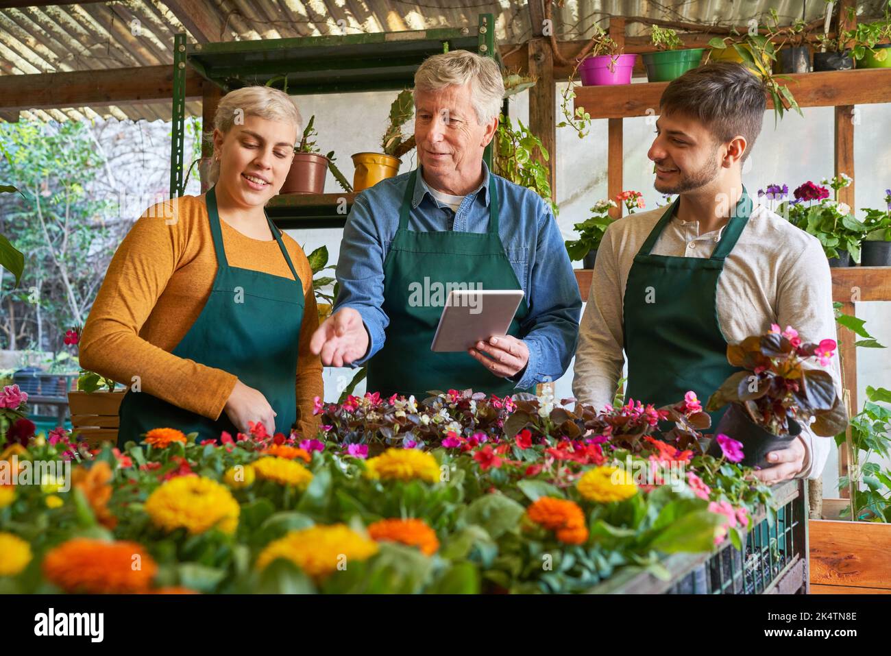 Le propriétaire de la pépinière et les employés de la formation de jardinier ont fait le point ensemble Banque D'Images