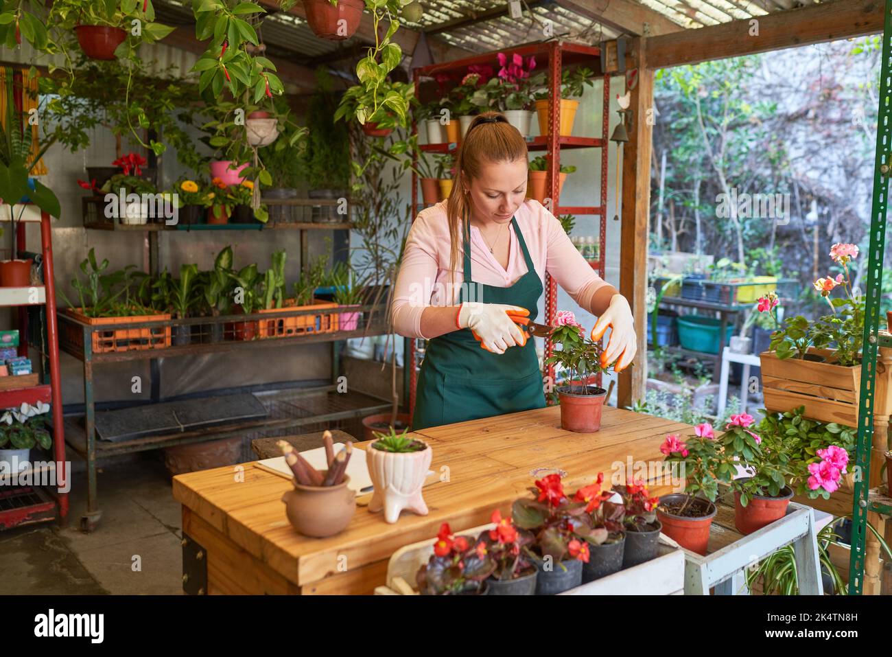 Jeune femme jardinière ou fleuriste taille une maison dans la pépinière Banque D'Images