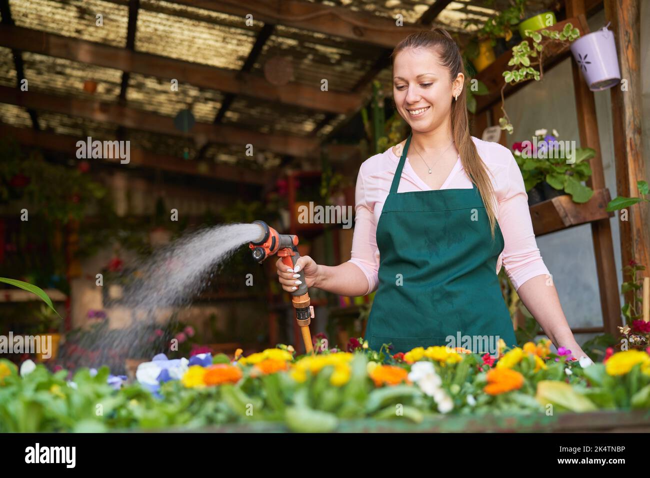 Jeune femme jardinier arrosoir les plantes avec le tuyau de jardin à l'entretien des plantes Banque D'Images