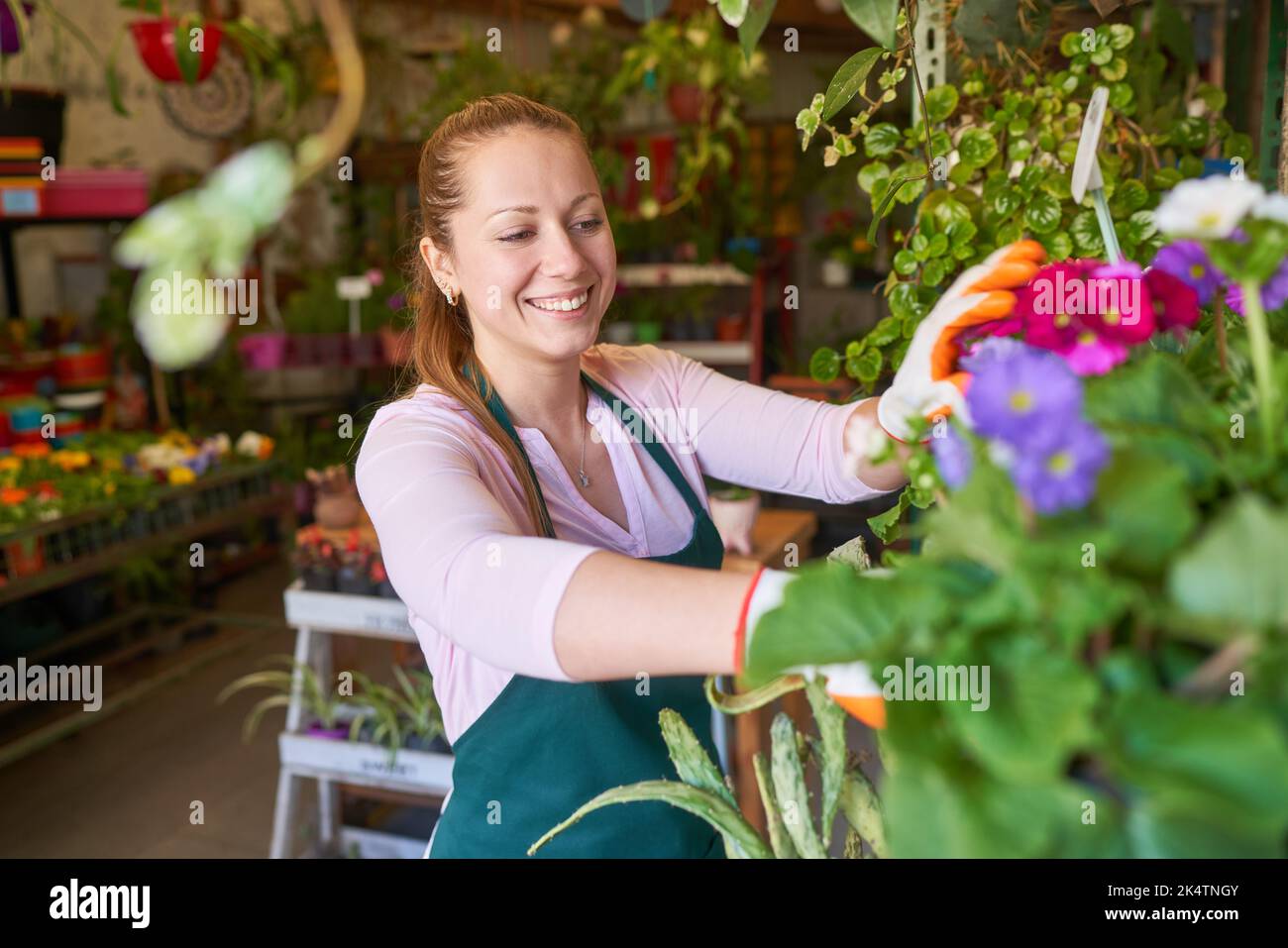 Jeune fleuriste ou jardinier s'occupant des plantes et du contrôle de la qualité dans le fleuriste Banque D'Images