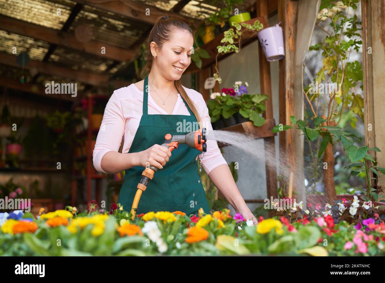 Jeune femme comme fleuriste arroser les fleurs comme soin de plantes dans le magasin de fleurs de la pépinière Banque D'Images