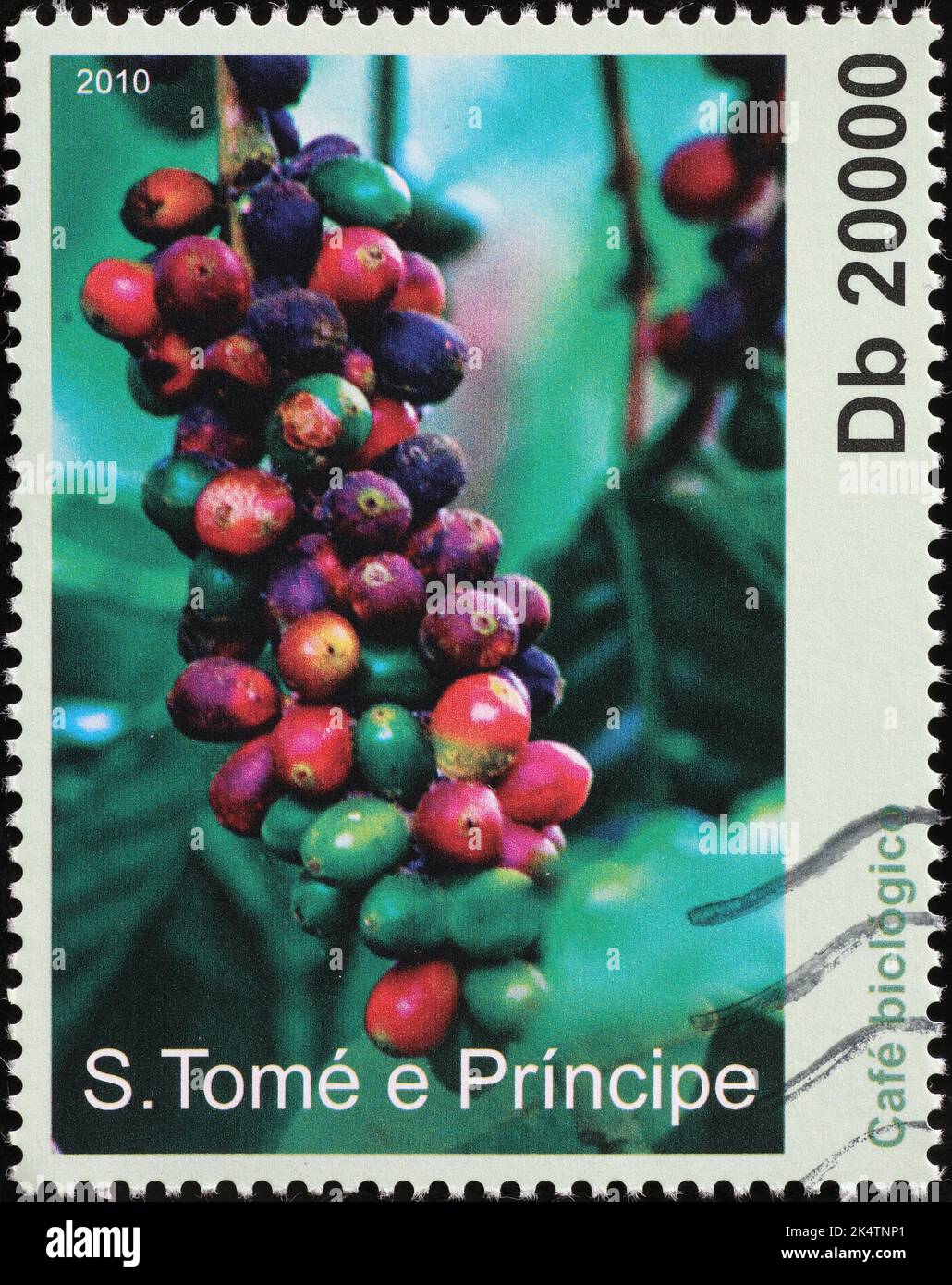 Fruits du café sur timbre-poste africain Banque D'Images