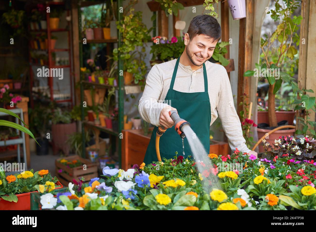 Jardinier apprenti arroser des fleurs comme soin de plantes Banque D'Images