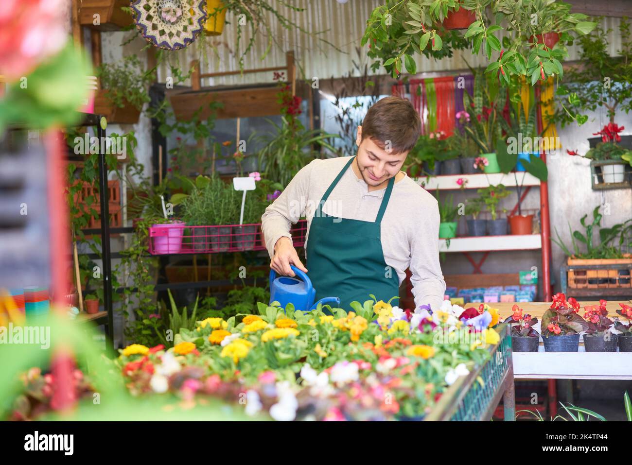 Jeune homme comme apprenti jardinier arroser des fleurs comme soin de plantes dans la boutique de fleurs Banque D'Images
