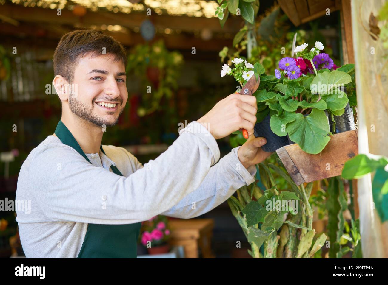 Jeune fleuriste souriant s'occupant des plantes dans la boutique de fleurs de pépinière Banque D'Images