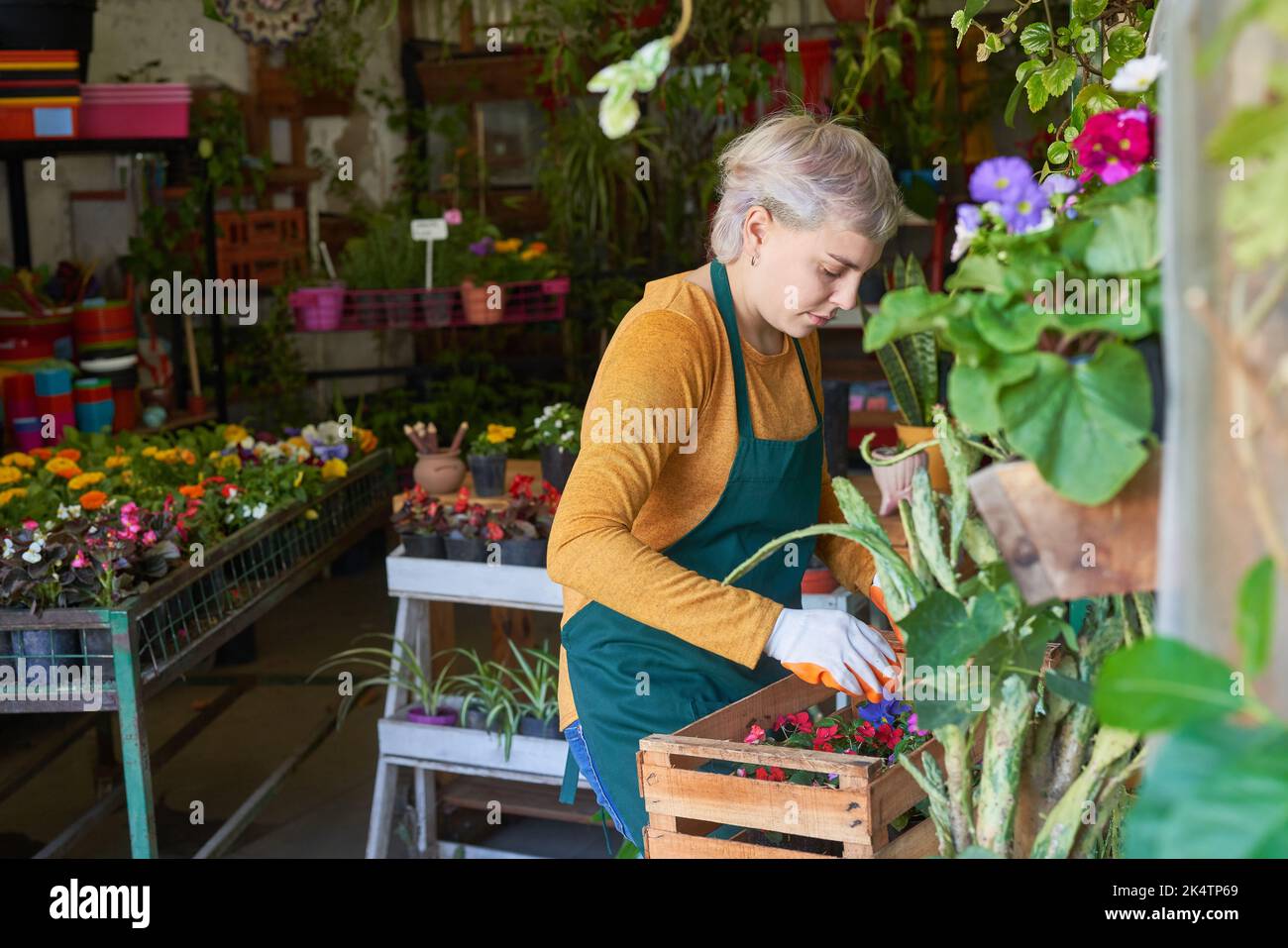 Jeune femme jardinier ou fleuriste s'occupant des plantes ou préparant une livraison Banque D'Images