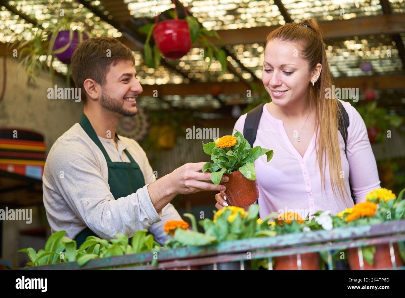 Fleuriste amical et client donnant des conseils sur l'achat de plantes dans la boutique de fleurs Banque D'Images