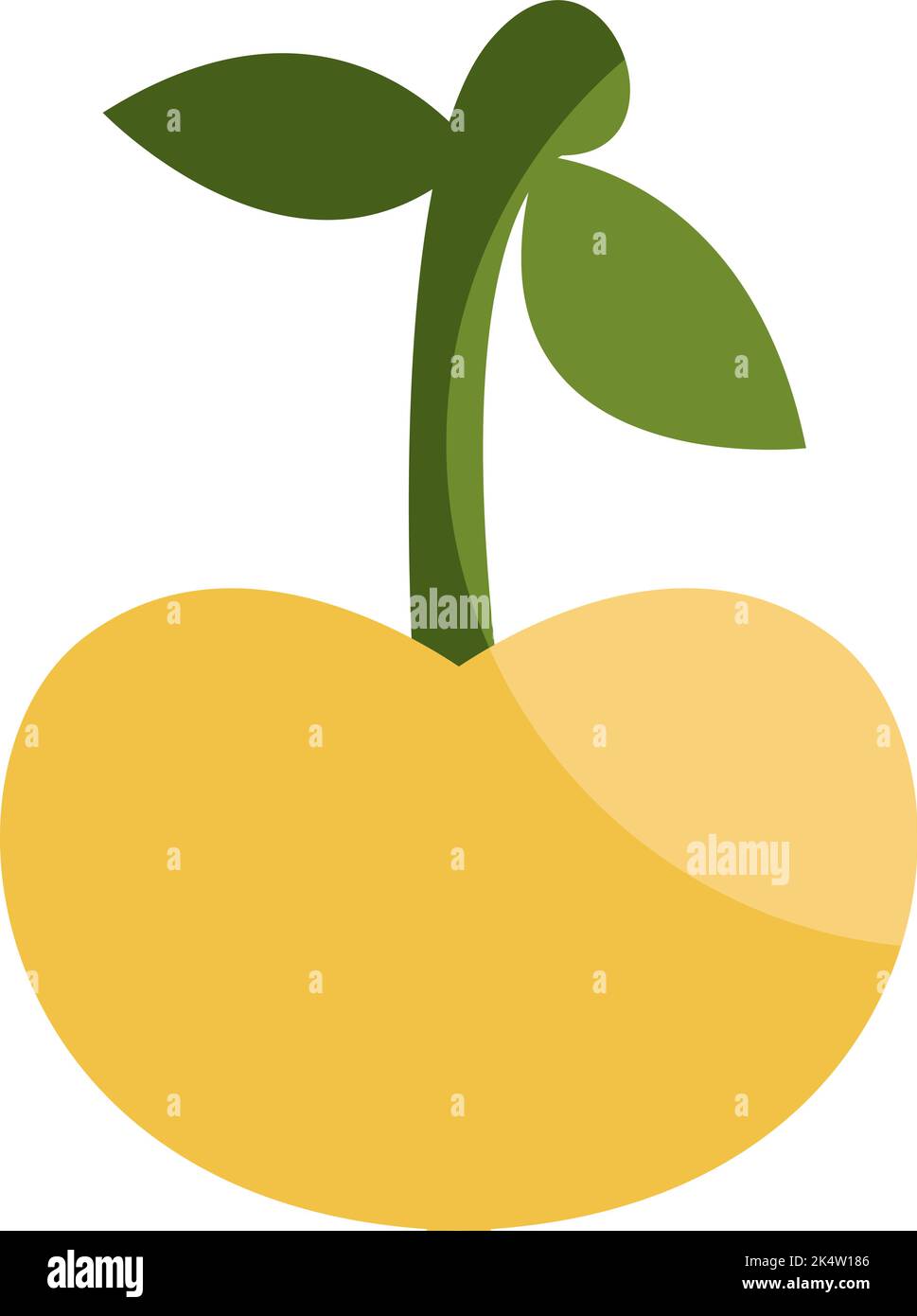 Cerise jaune, illustration, vecteur sur fond blanc. Illustration de Vecteur