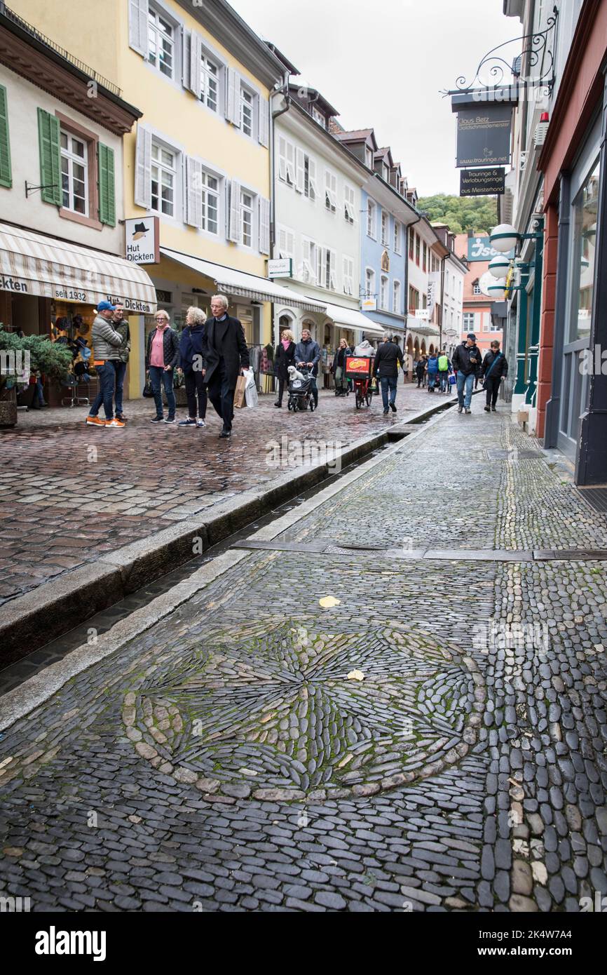 Baechle (petit canal ouvert) dans la rue Schuster dans la ville historique, Freiburg im Breisgau, Bade-Wurtemberg, Allemagne. Baechle in der Schusterstrass Banque D'Images