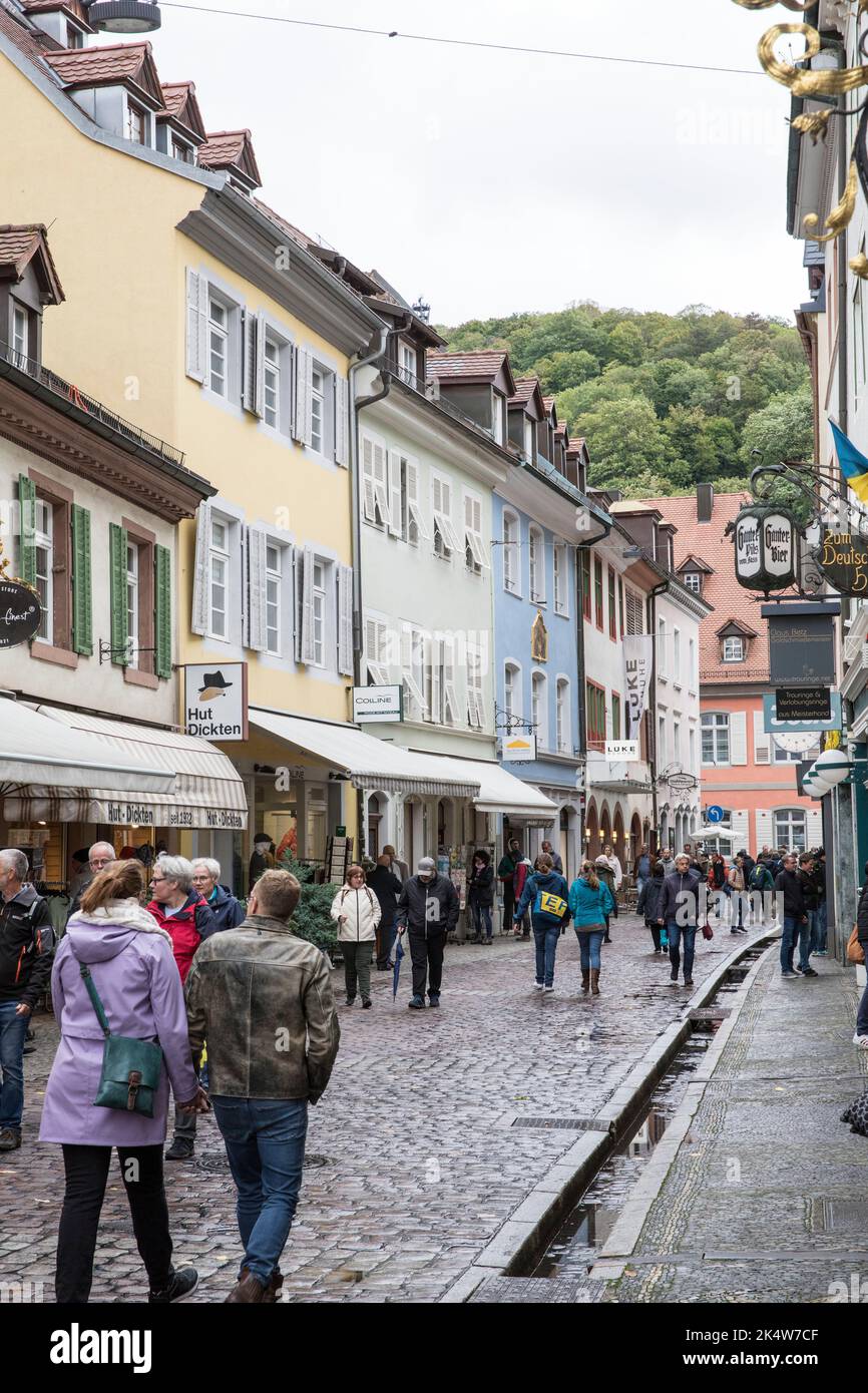 Baechle (petit canal ouvert) dans la rue Schuster dans la ville historique, Freiburg im Breisgau, Bade-Wurtemberg, Allemagne. Baechle in der Schusterstrass Banque D'Images