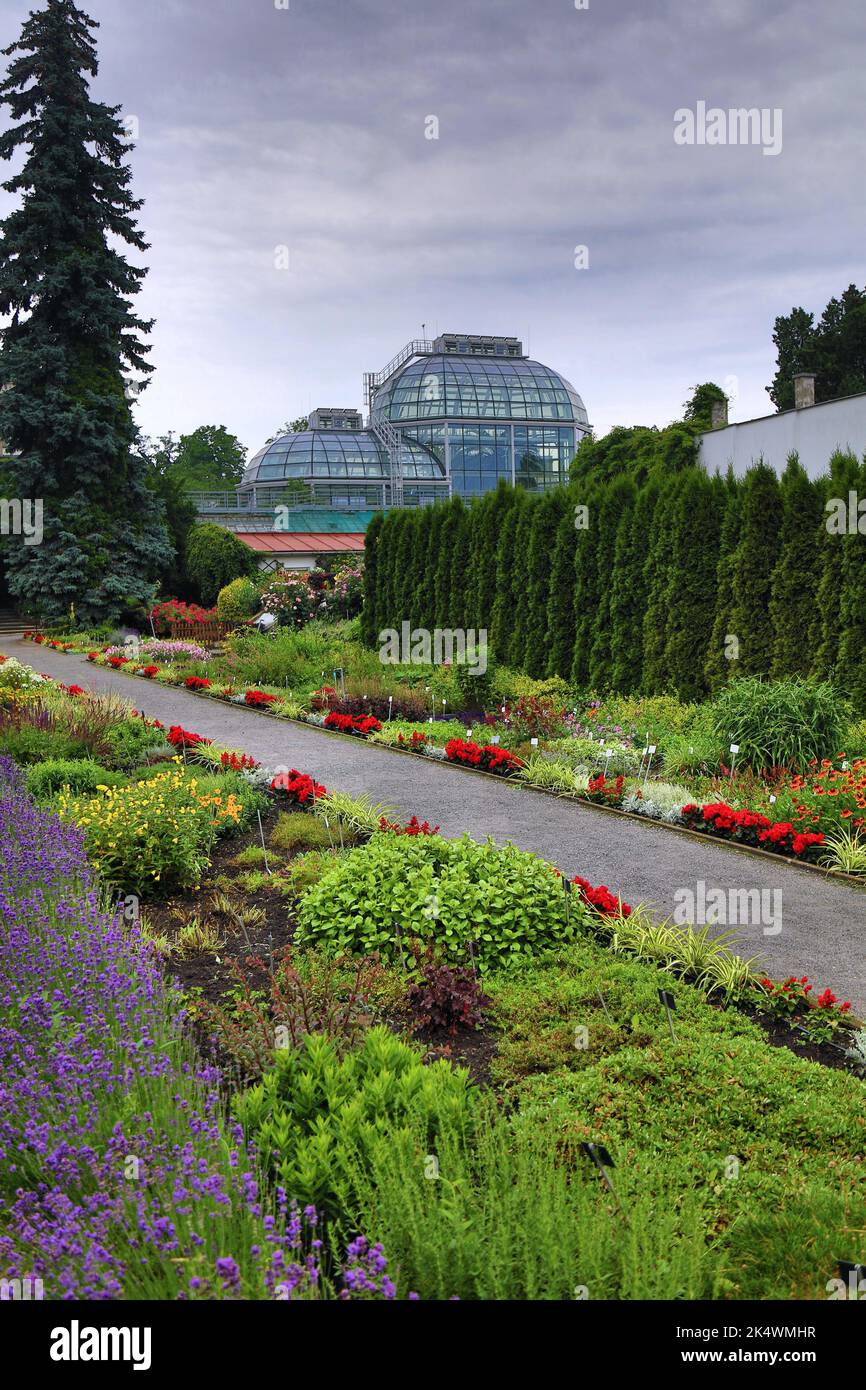 CRACOVIE, POLOGNE - 3 JUILLET 2021 : couloirs de fleurs au jardin botanique de l'université de Jagiellonian à Cracovie, Pologne. Banque D'Images
