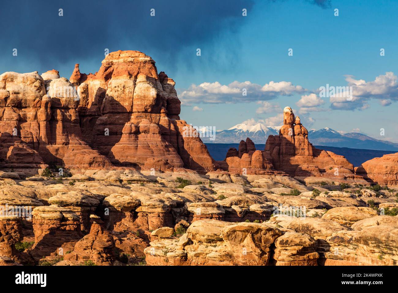 Une tempête au-dessus des formations rocheuses de grès de Cedar Mesa dans la région de Devil's Kitchen, dans le quartier des aiguilles de Canyonlands NP, Utah. Derrière se trouve la Sal Banque D'Images