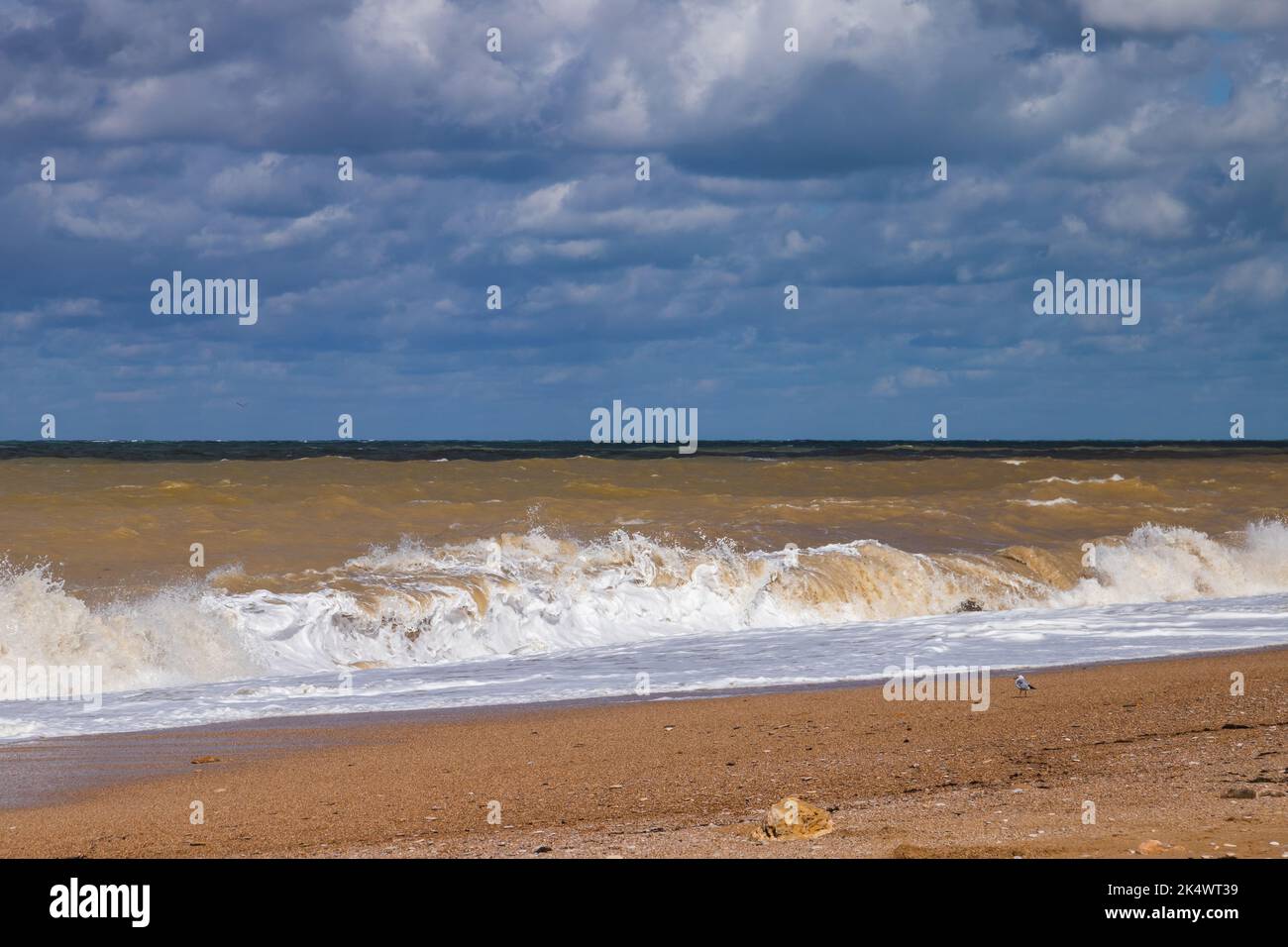 Vue sur la plage vide avec l'eau de rivage, photo de paysage prise sur la côte de la mer Noire un jour de tempête, la Crimée Banque D'Images