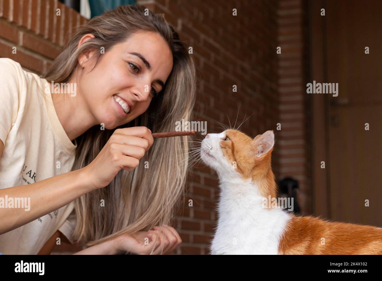 Jeune femme souriant tout en éduquant son animal de compagnie de chat avec un régal dans le patio avant Banque D'Images