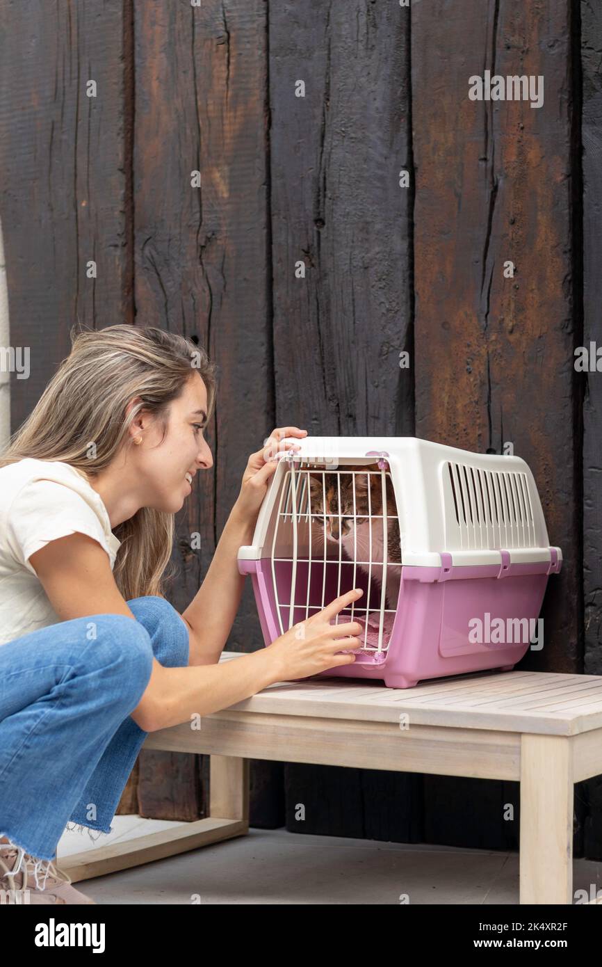 Vue verticale de la femme qui prend son chat d'animal de compagnie au vétérinaire dans une cage et apaisant l'animal Banque D'Images