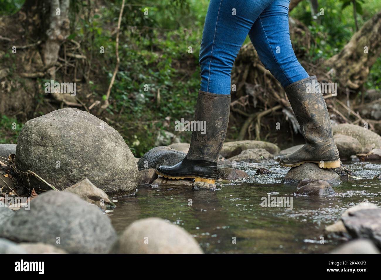 femme immigrée traversant un ruisseau portant des jeans bleus et des bottes de marais noir. randonnée dans la forêt dense colombienne. bottes mouillées. concept de randonnée. Banque D'Images