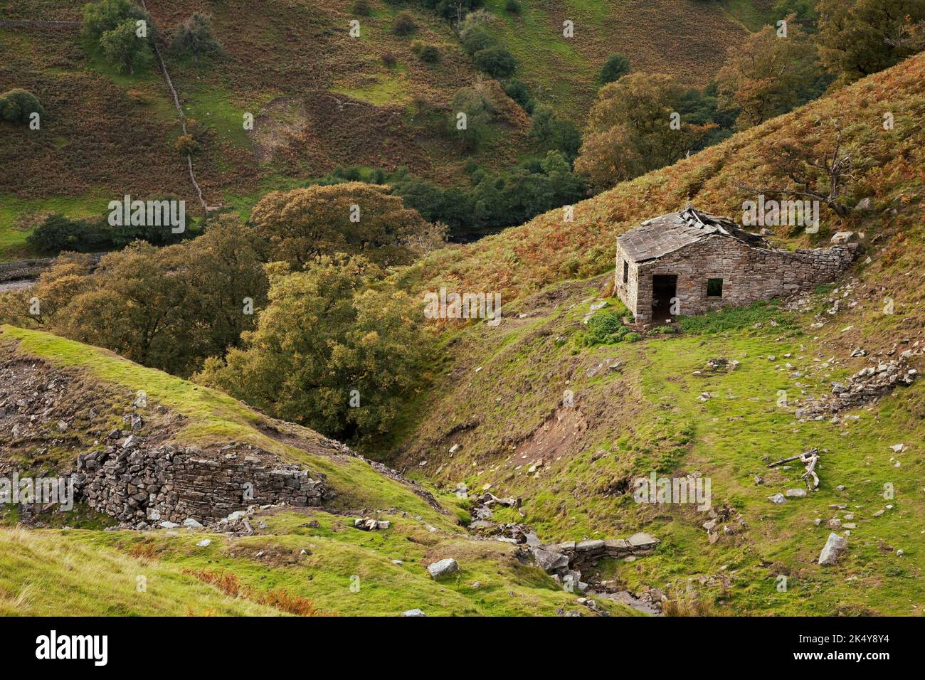 Hutte du mineur à Arn Gill, dans les hauts tronçons de Swaledale, Yorkshire Dales, Royaume-Uni Banque D'Images