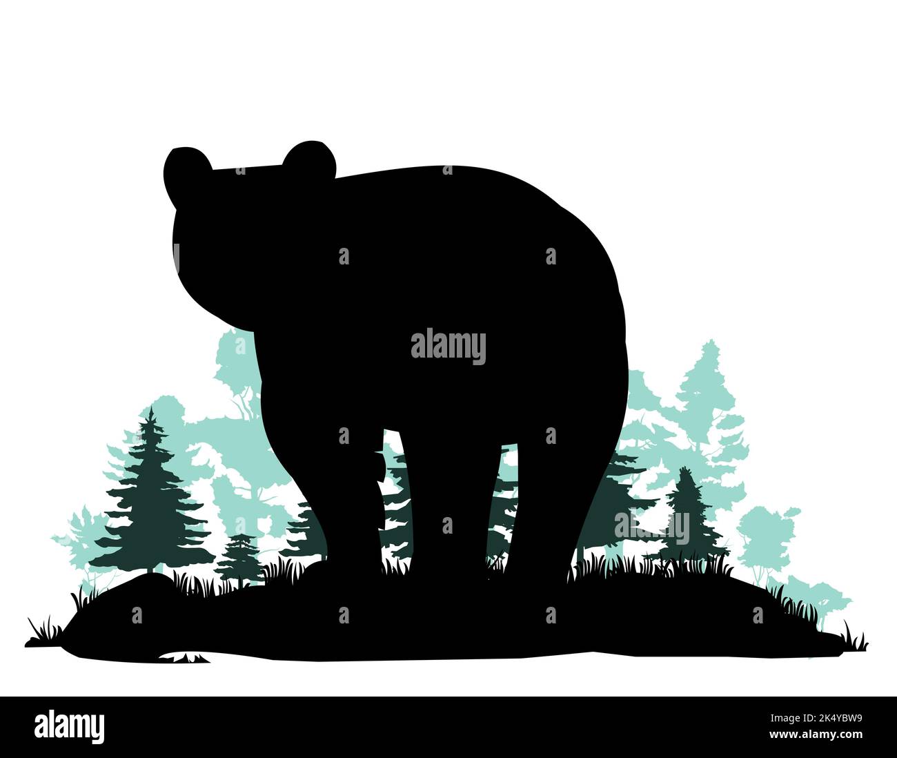 Ours adulte. Animaux sauvages. Silhouette. Glade dans la taïga de forêt de conifères du nord. Isolé sur fond blanc. Vecteur. Illustration de Vecteur