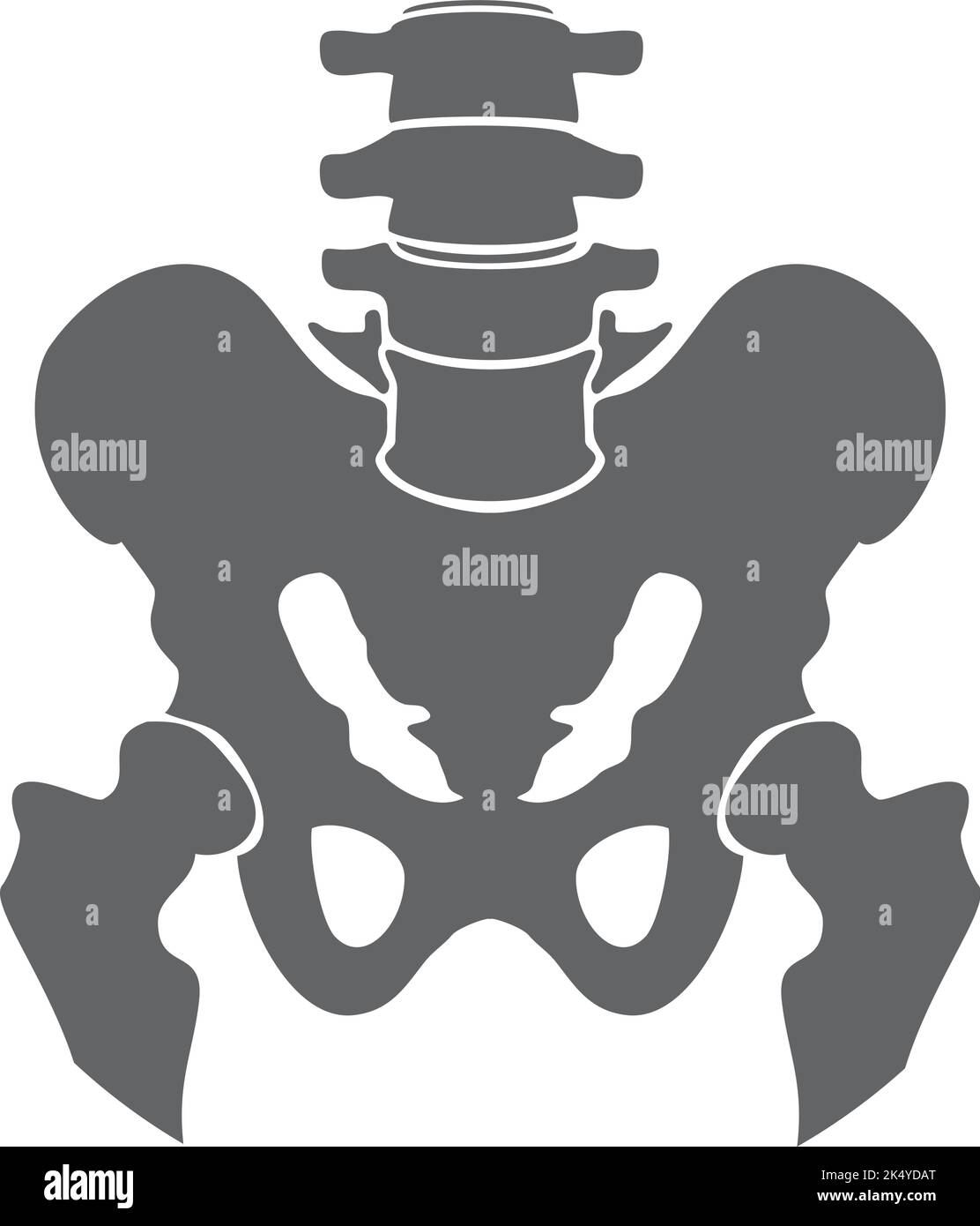 OS pelvis icône noire. Structure du corps humain Illustration de Vecteur