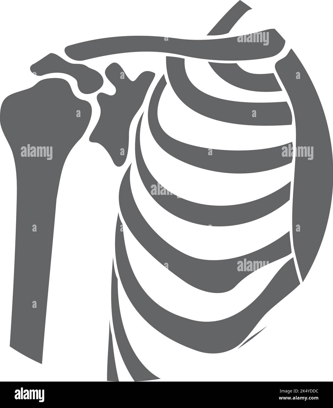 Articulation osseuse de l'épaule icône noire. Structure de la main Illustration de Vecteur