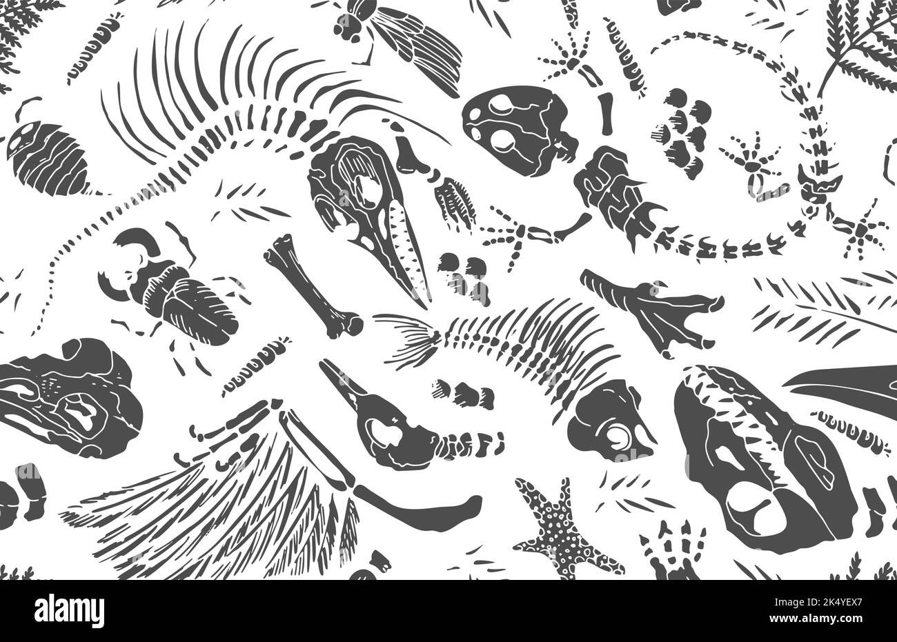 Le pochoir noir isolé présente des squelettes d'animaux préhistoriques, d'insectes et de plantes sur fond blanc. Motif sans couture dessin réaliste à la main Illustration de Vecteur Le pochoir noir isolé présente des squelettes d'animaux préhistoriques, d'insectes et de plantes sur fond blanc. Motif sans couture dessin réaliste à la main Illustration de Vecteur