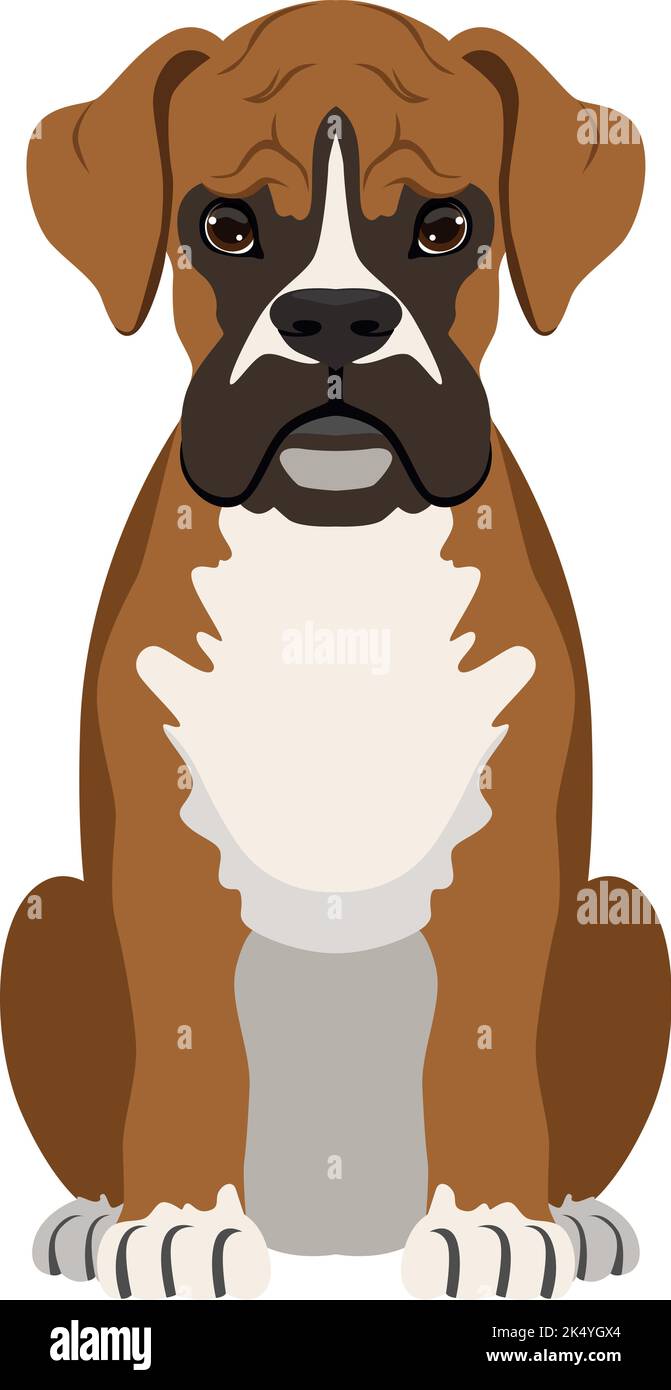 Icône Mastiff. Chien fort en colère. Animal domestique Illustration de Vecteur