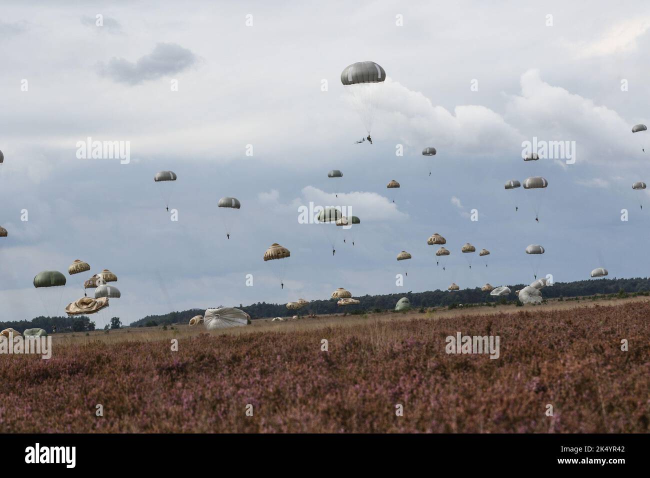 Des parachutistes de 14 nations différentes descendent dans la zone de chute de Heide Heechtuse, en Belgique, dans le cadre de l'exercice Falcon Leap 22 sur 15 septembre 2022. L'exercice Falcon Leap est un exercice aérien annuel qui se tient dans des zones historiques de bennaux à travers les pays-Bas et la Belgique afin de promouvoir l'interopérabilité entre les alliés et les partenaires internationaux. (É.-U. Photo de l'armée par le Sgt. Catessa Palone) Banque D'Images