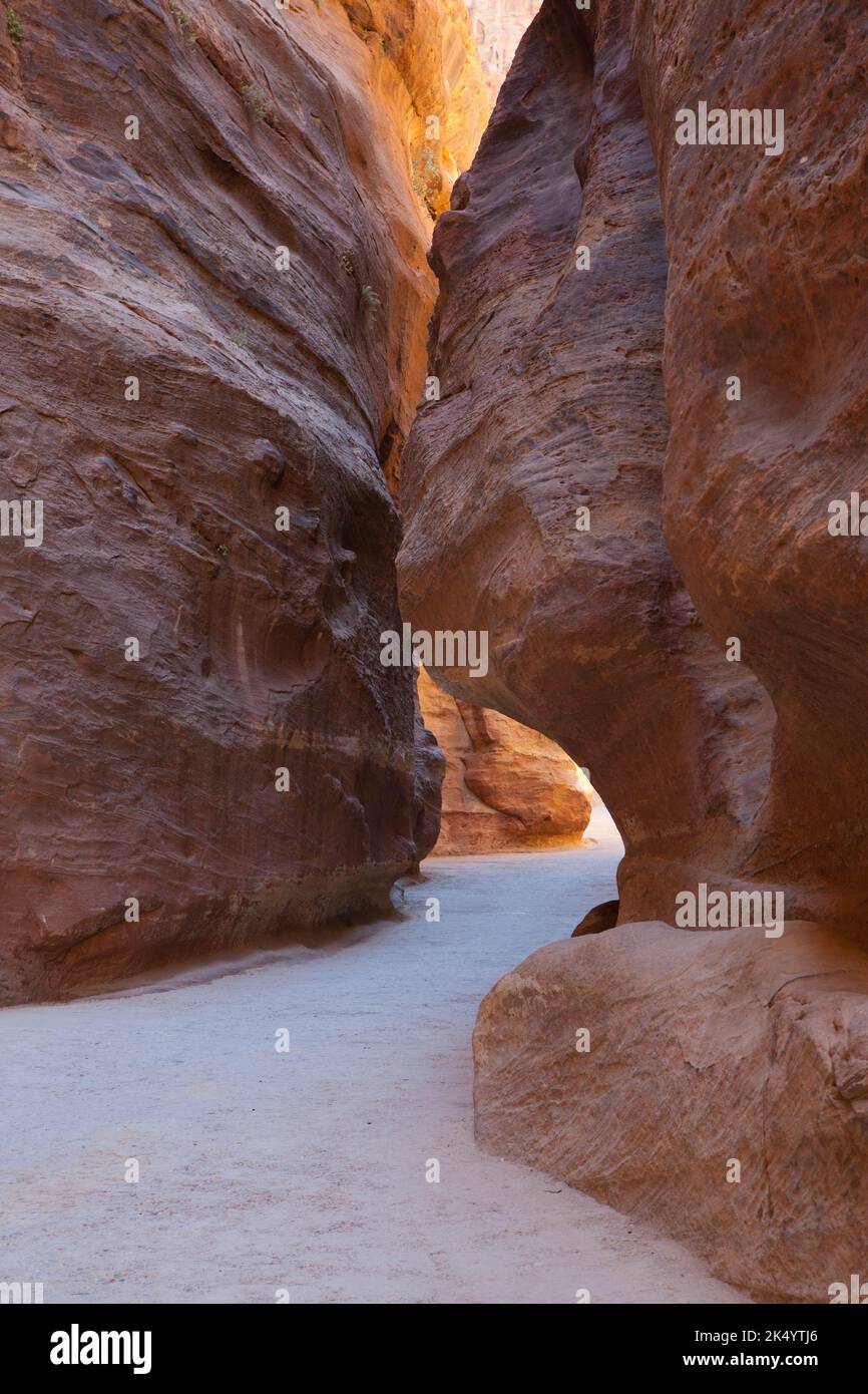 Le canyon de Siq à Petra, en Jordanie Banque D'Images