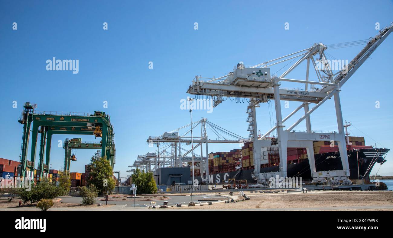Tout en marchant dans le parc Middle Harbour Shoreline, vous pouvez voir des navires chargés ou déchargés de leurs conteneurs. Banque D'Images