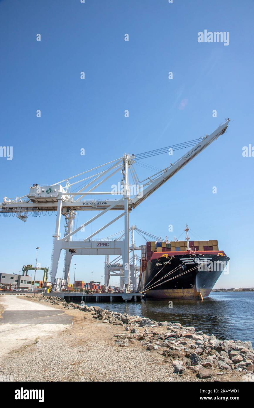 Tout en marchant dans le parc Middle Harbour Shoreline, vous pouvez voir des navires chargés ou déchargés de leurs conteneurs. Banque D'Images