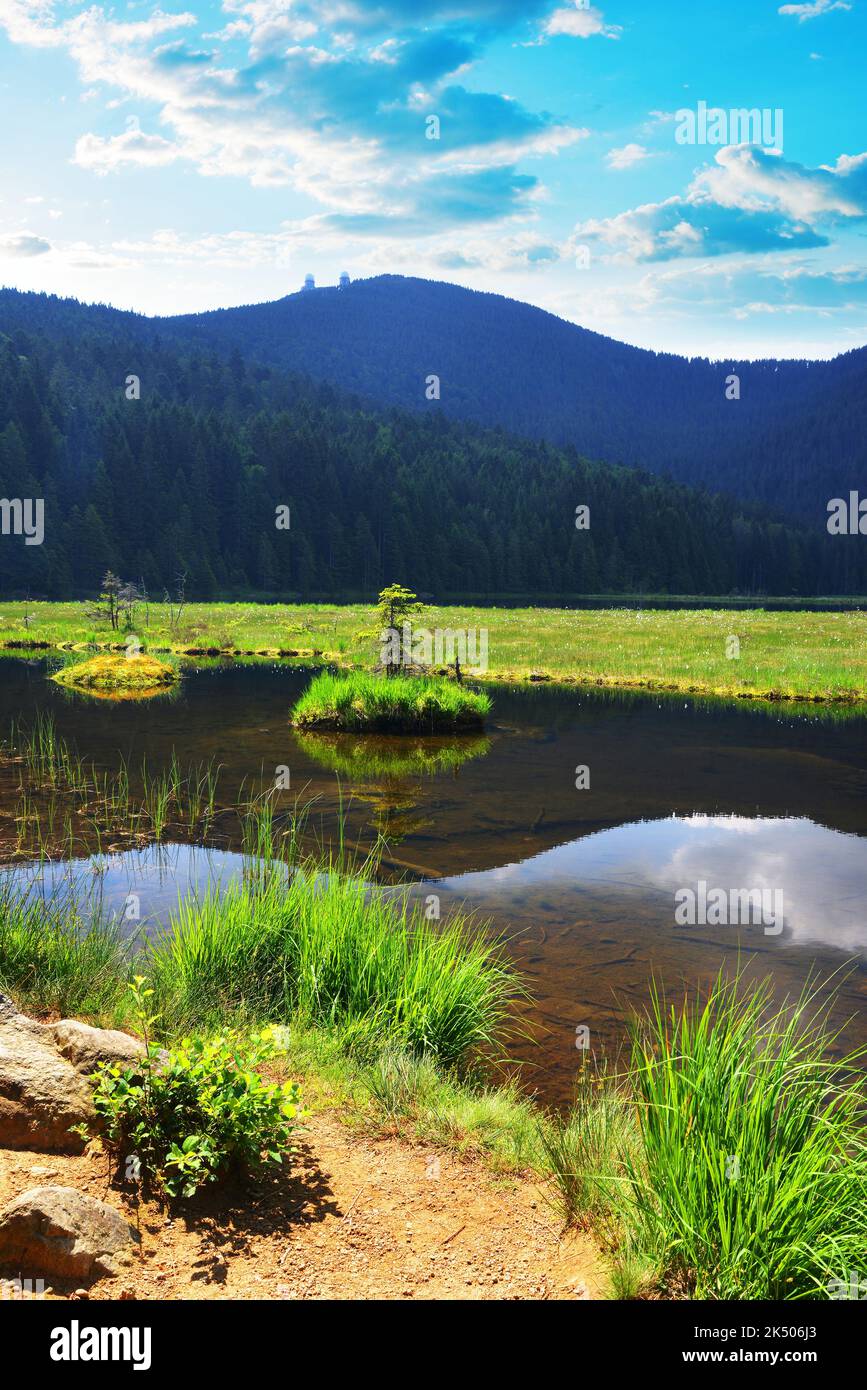 Lac Kleiner Arbersee dans le parc national Bayerische Wald, Bavière, Allemagne. Banque D'Images
