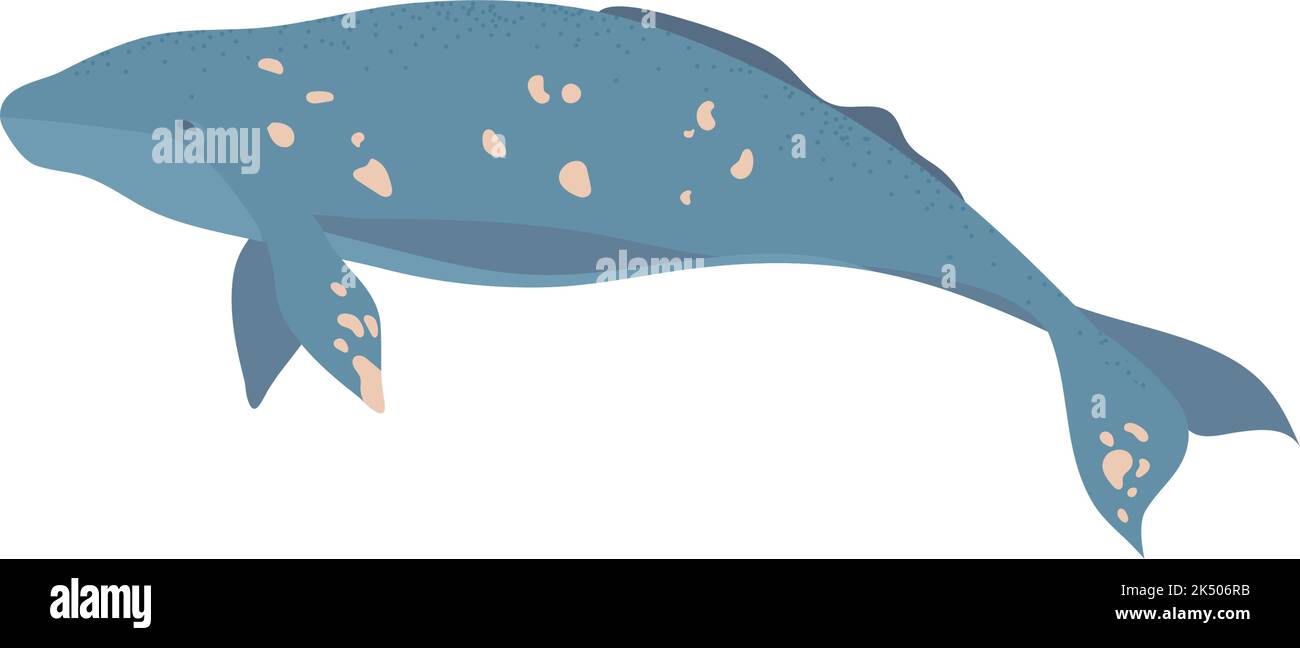 icône baleine grise Illustration de Vecteur