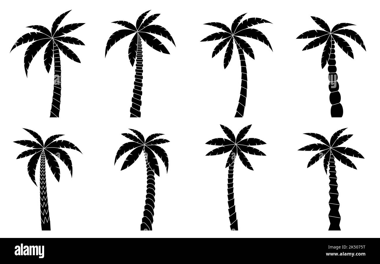 Ensemble de silhouette de palmier noir. Belle plante de plage tropicale. Jardin cultivé de la jungle de noix de coco. Arbre exotique pour les vacances naturelles poster, drapeau exotique botanique miami, carte touristique Hawaiian Travel Illustration de Vecteur