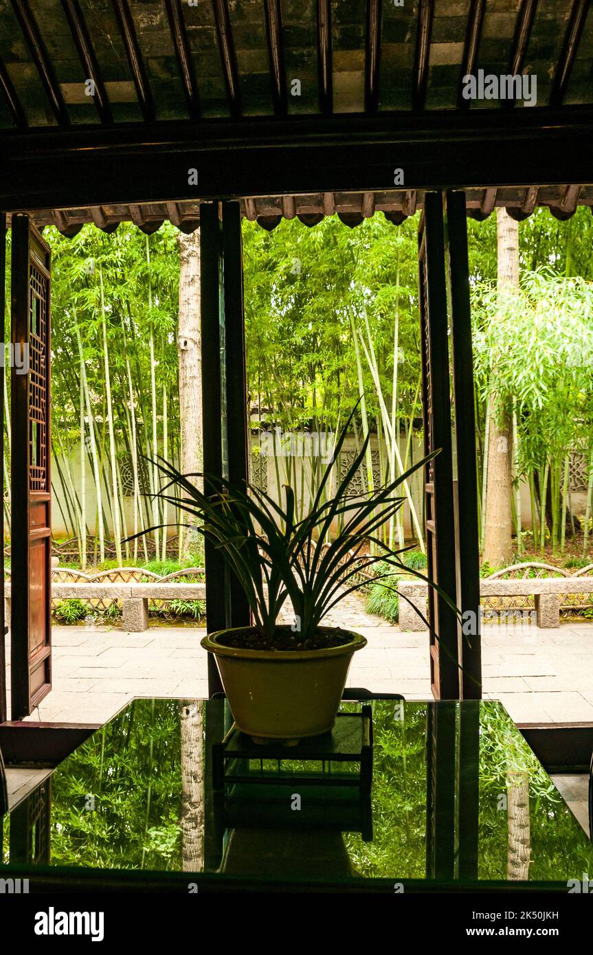 Le jardin de bambou vu de l'exquise Emerald Bamboo House dans le Pavillon de la Grande vague (Canglang) classé au patrimoine mondial de l'UNESCO, Suzhou, province de Jiangsu, Chine. Banque D'Images