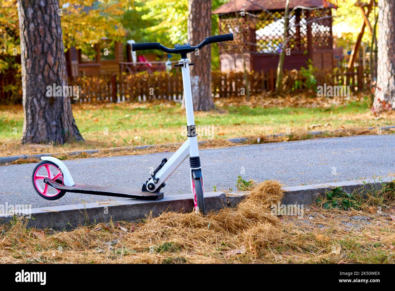 Vélo-scooter blanc rose sur un sentier d'automne dans un parc de la ville Banque D'Images