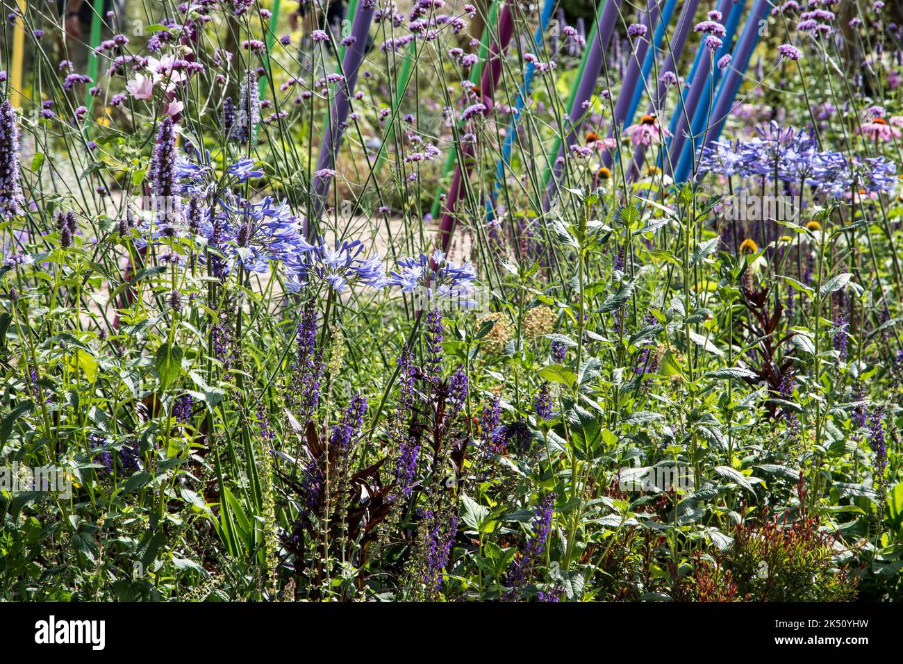 Un jardin agréable Banque D'Images